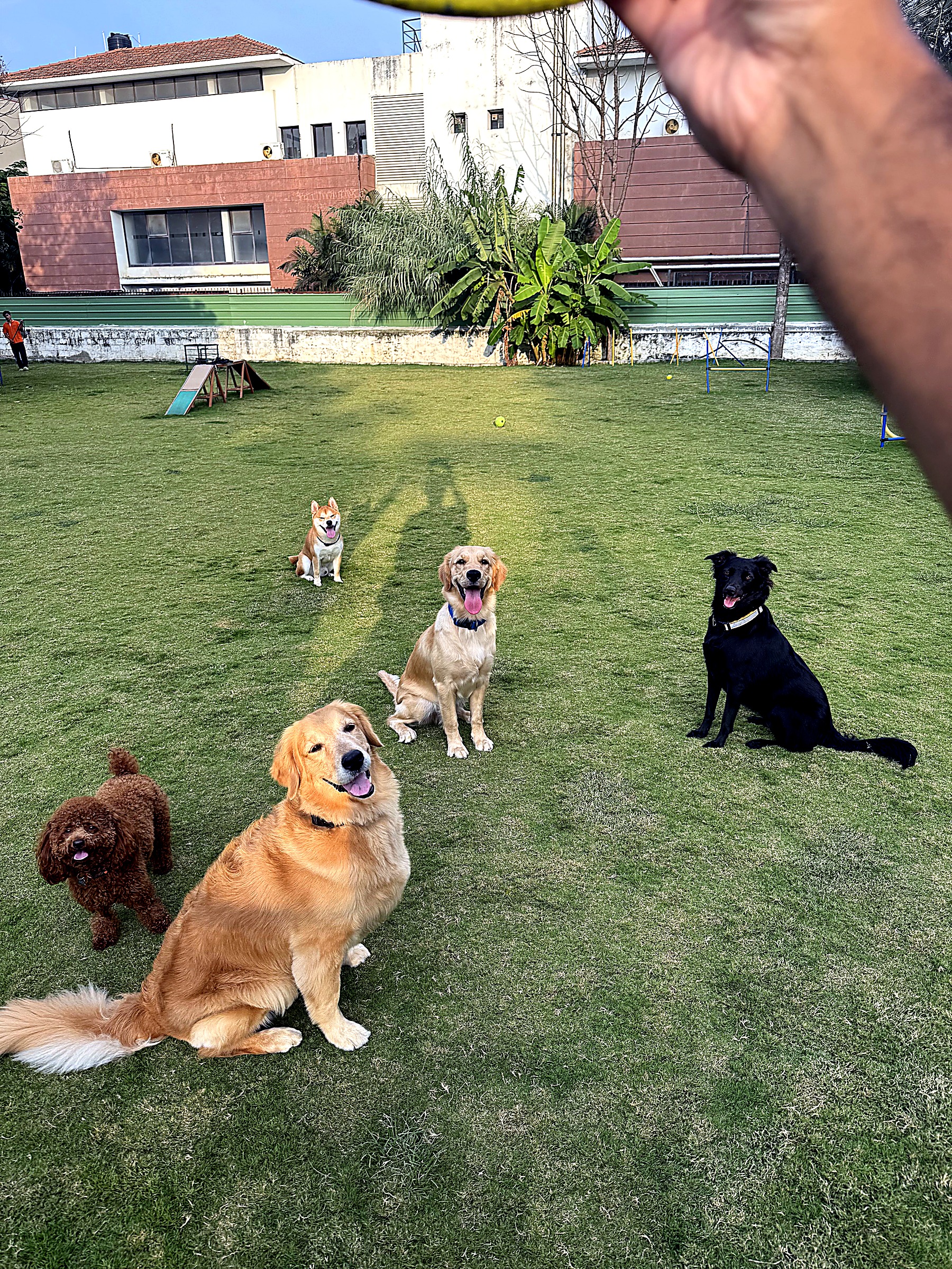 Training session outdoors